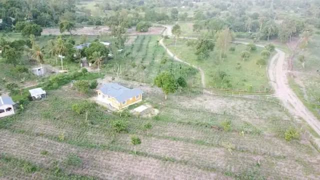 DIANI PARADISE COASTAL PLOTS FOR SALE