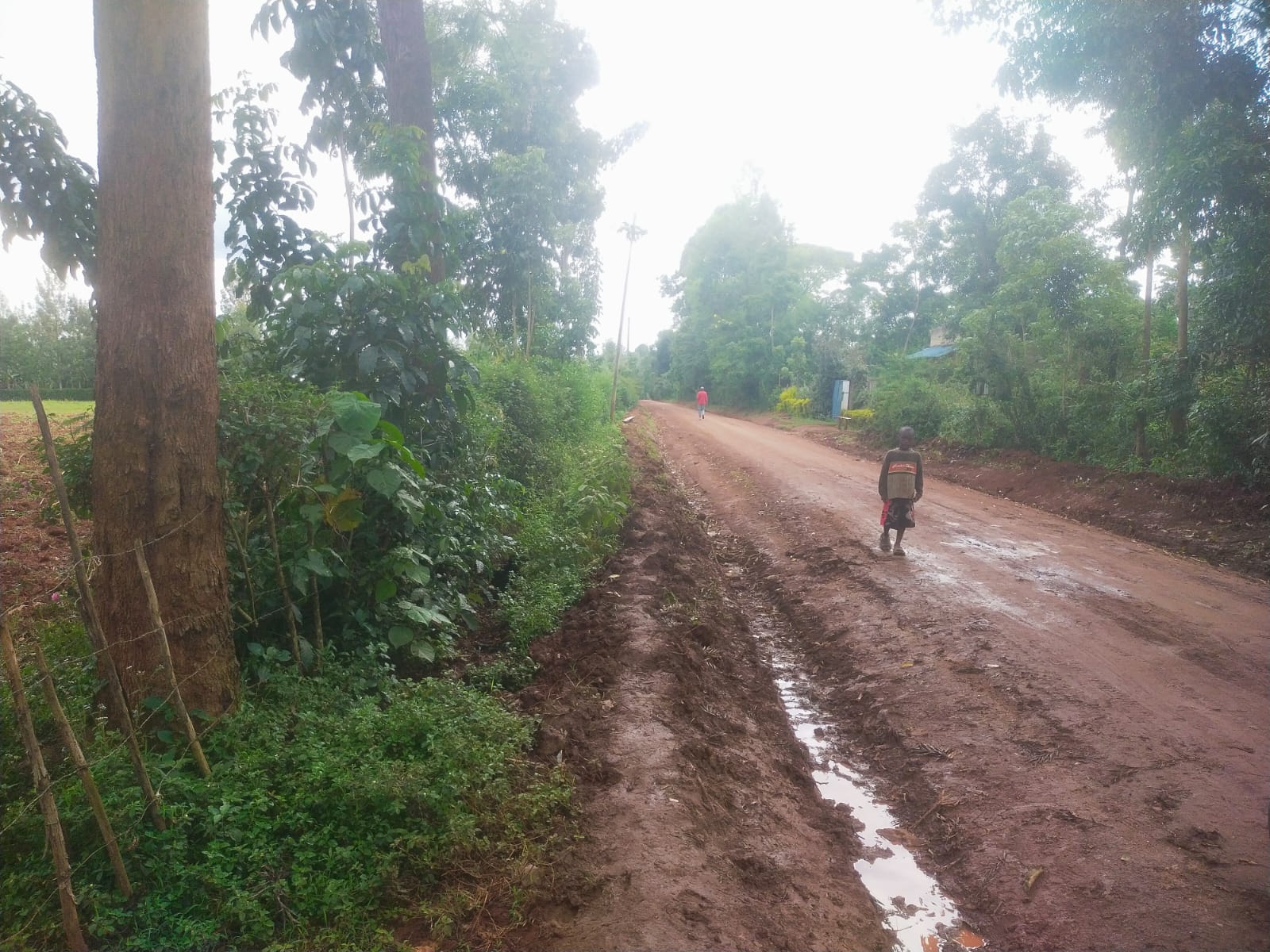 Bethany Ridge Acquisition – Prime Land for Sale in Kitale