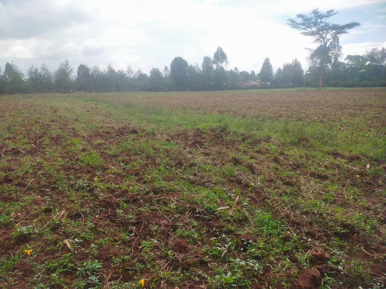 Bethany Ridge Acquisition – Prime Land for Sale in Kitale