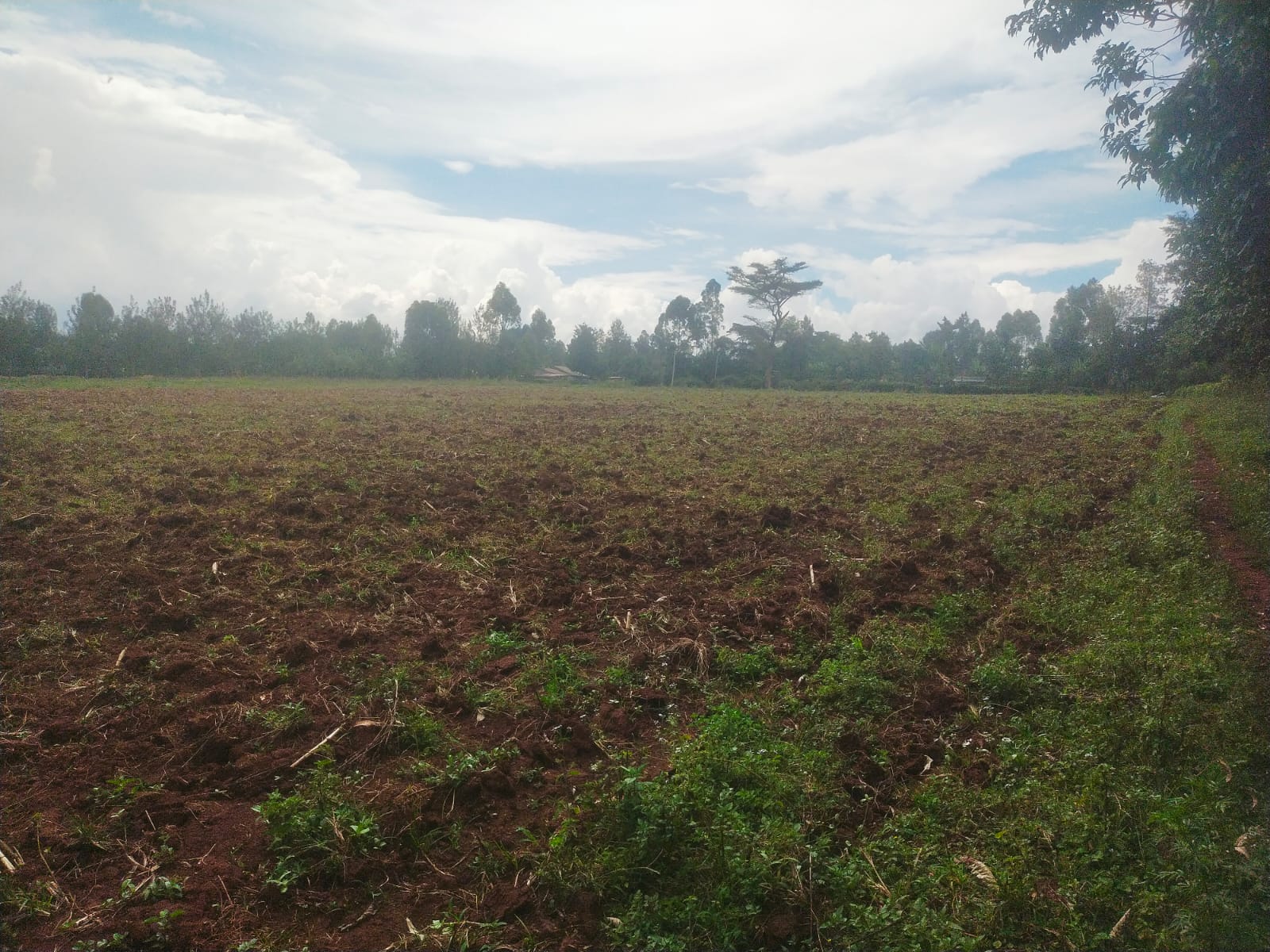 Bethany Ridge Acquisition – Prime Land for Sale in Kitale