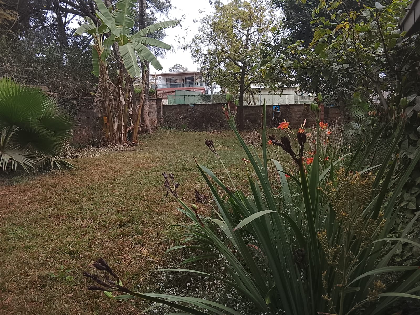Ultra Modern 5 Bedroom Stand-Alone House with DSQ for Rent in Lavington