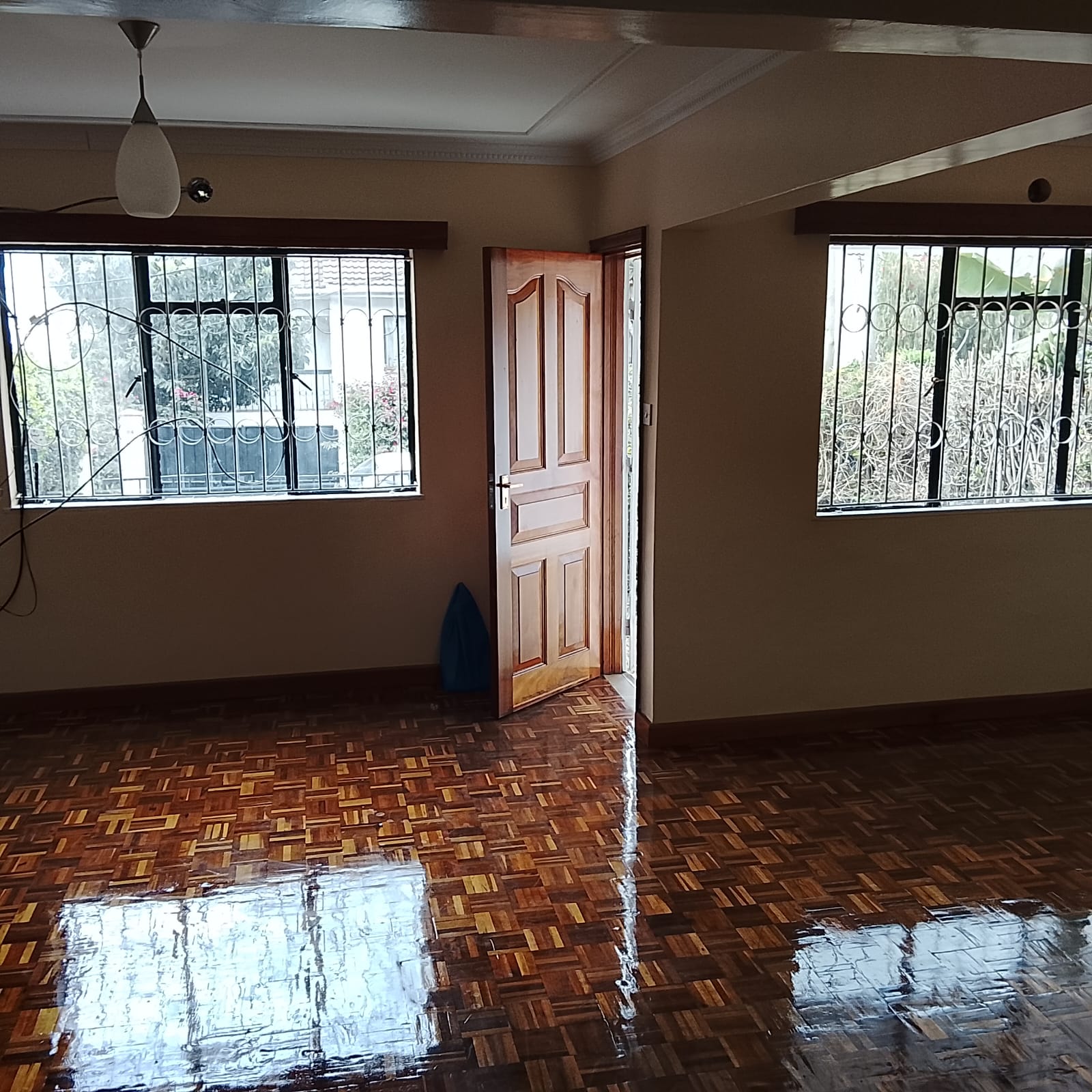 Beautifully Designed 3 Bedroom Villa with DSQ for Rent in Riara Road