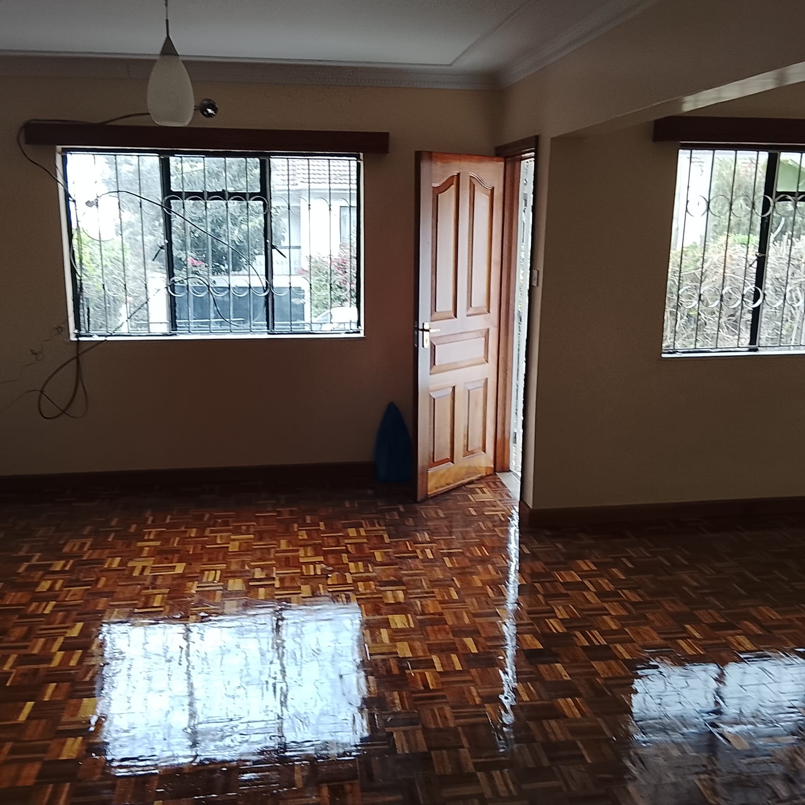 Beautifully Designed 3 Bedroom Villa with DSQ for Rent in Riara Road