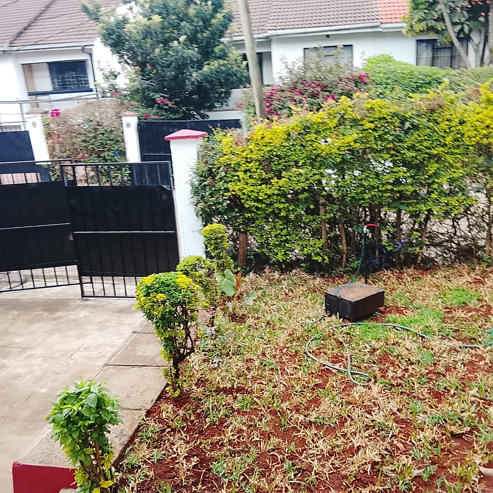 Beautifully Designed 3 Bedroom Villa with DSQ for Rent in Riara Road