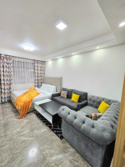Studio Airbnb Business in Kilimani