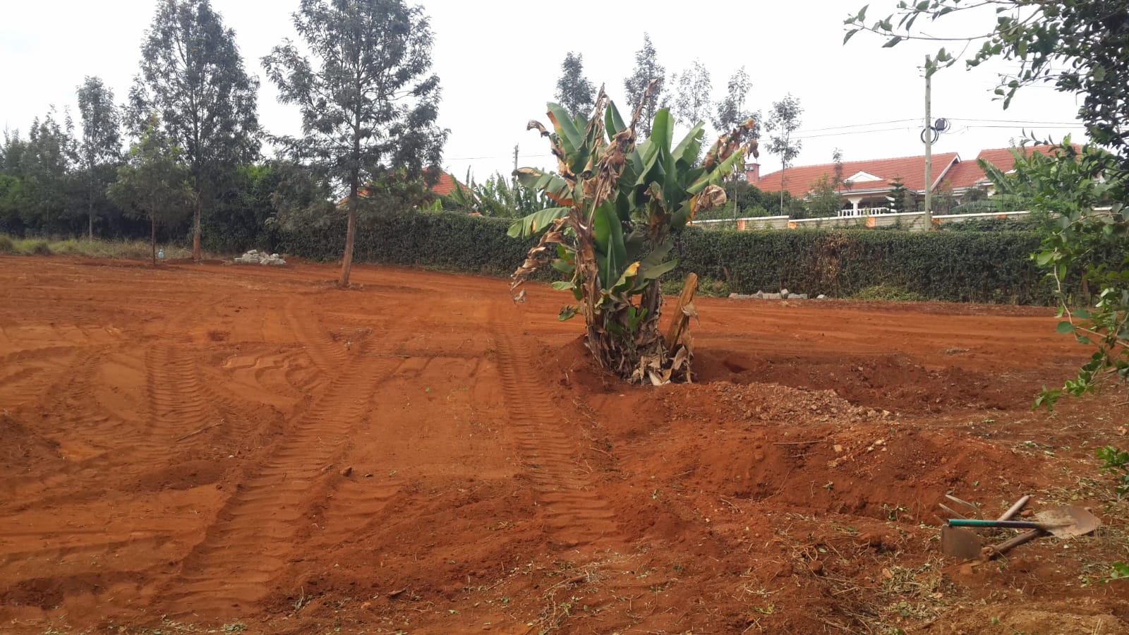 Prime land for sale slightly abobe half and acre in Ridgeways. 50 M