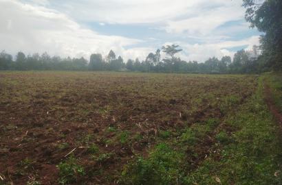 Bethany Ridge Acquisition – Prime Land for Sale in Kitale