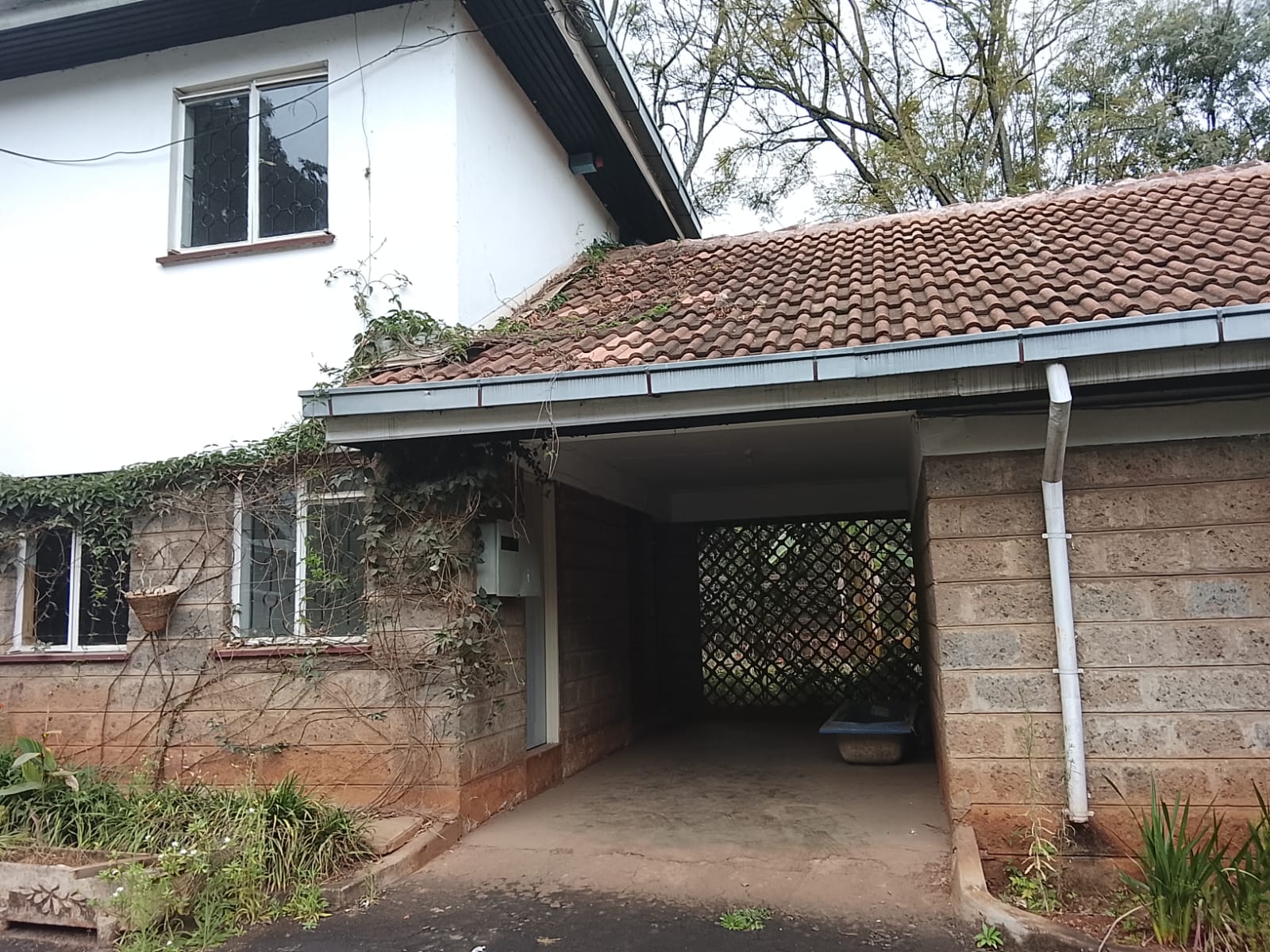 Ultra Modern 5 Bedroom Stand-Alone House with DSQ for Rent in Lavington