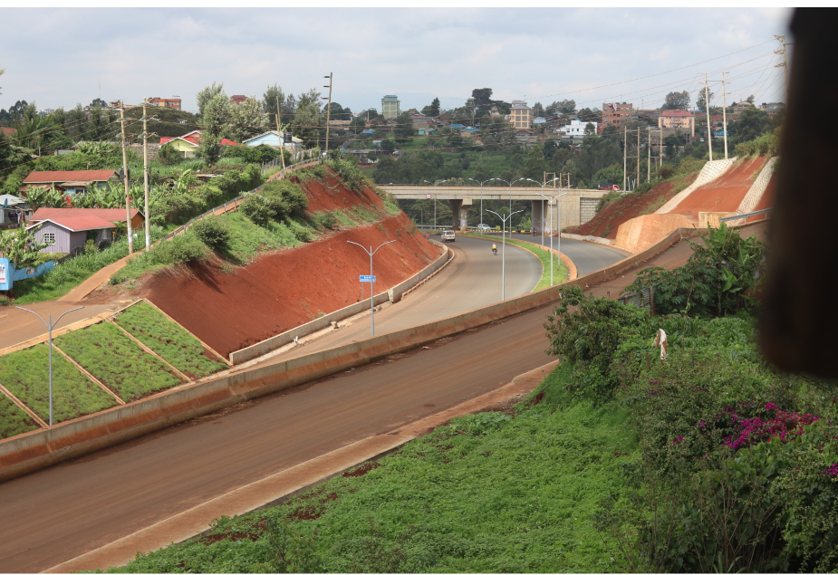 Distinctive 1 Bedroom Apartment in Ruaka,Wangige