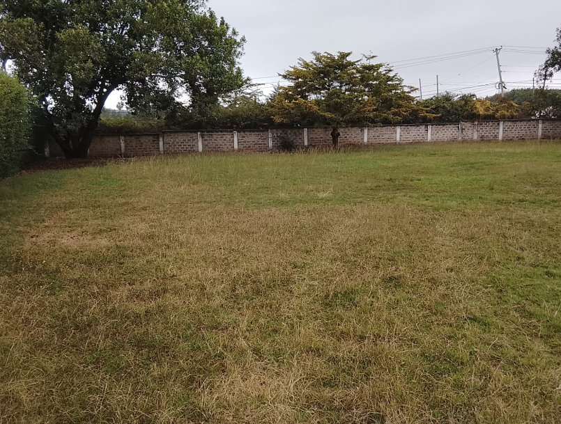Executive 9 Bedroom Maisonette in Lavington, Apple Cross Road.
