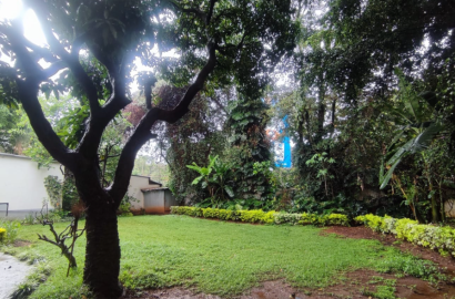 Family Friendly 5 Bedroom Maisonette with DSQ in Riverside