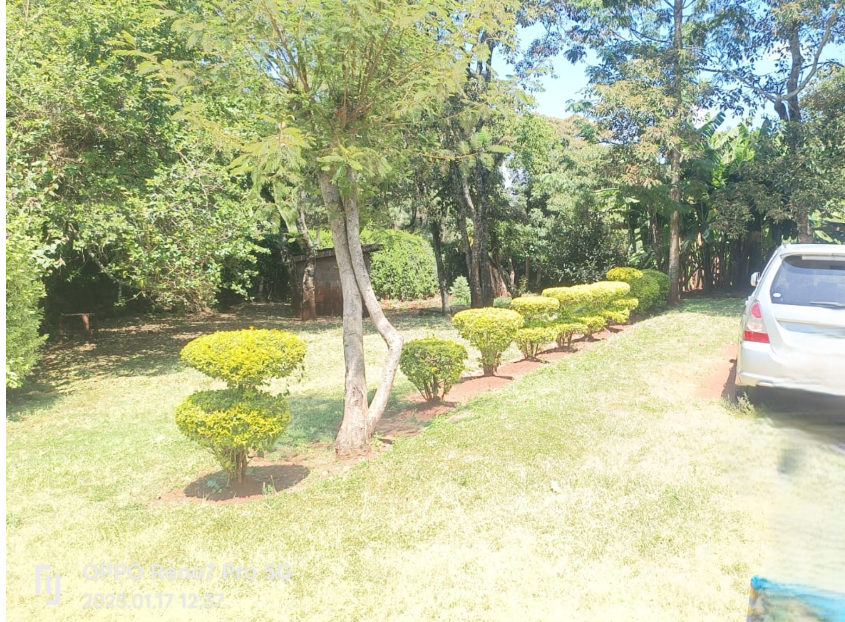 Spacious 4 Bedroom Maisonette Along Kerarapon Drive, Karen